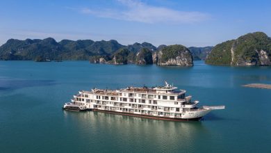 Halong Bay day cruises - Ambassador Cruise