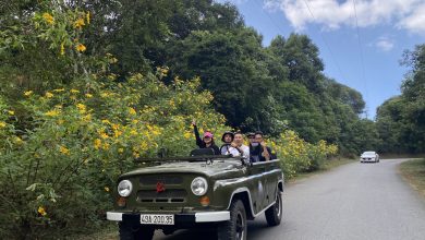 Hanoi Jeep Tour To Explore Ba Vi National Park & Duong Lam Ancient Village