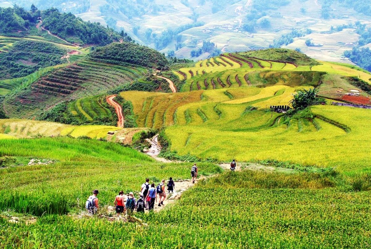 Joining a trekking expedition with beloved ones through a tour from Hanoi to Sapa.